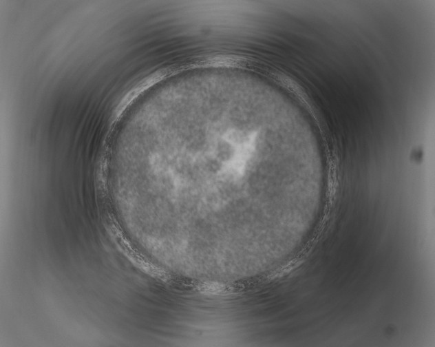 X0000115070827200912081146