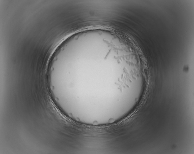 X0000115070828200912081146