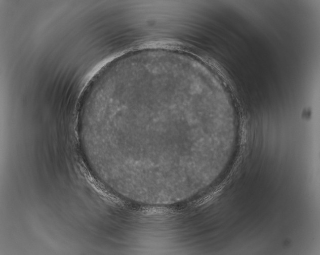 X0000115070830200912081146