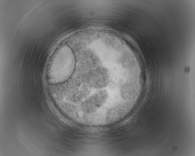 X0000115070831200912081146