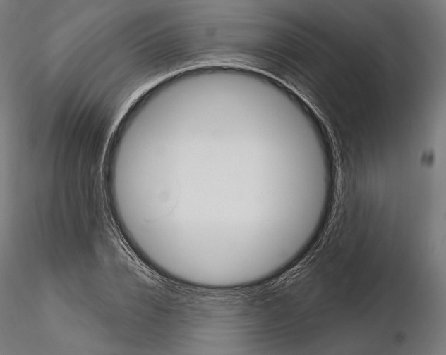 X0000115070832200912081146