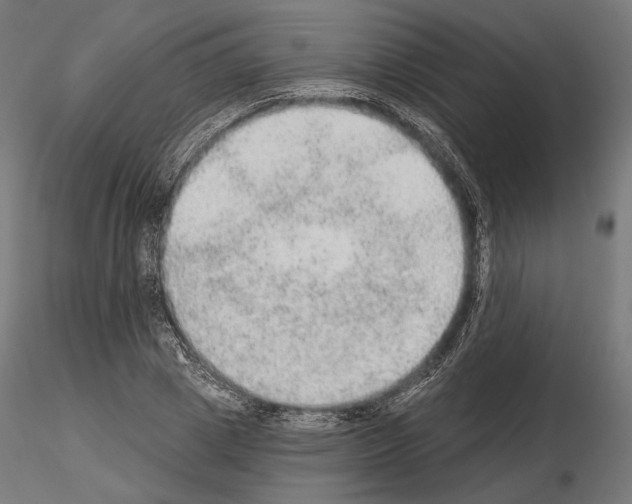 X0000115070833200912081146