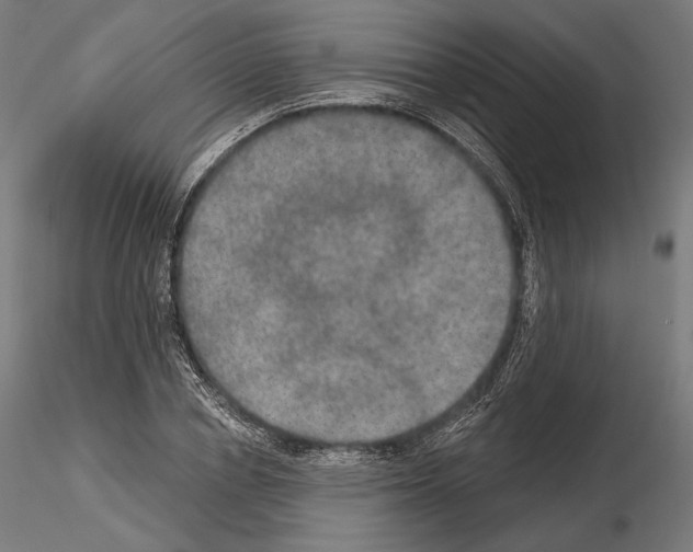 X0000115070834200912081146