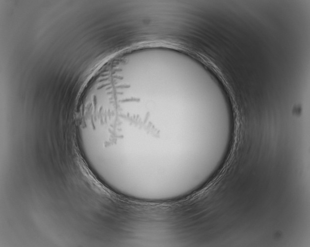 X0000115070836200912081146