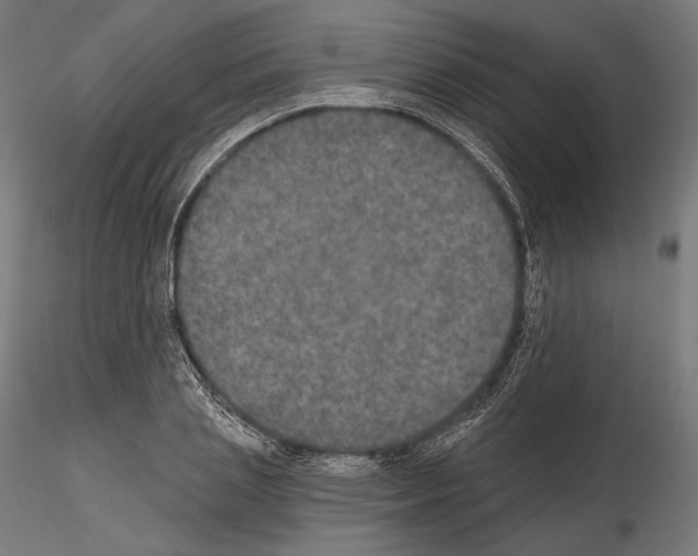 X0000115070837200912081146