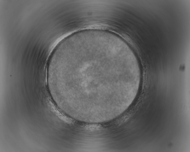 X0000115070838200912081146