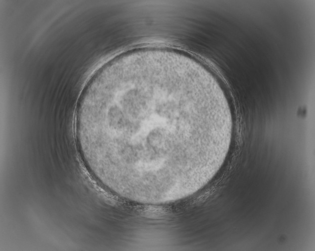 X0000115070839200912081146
