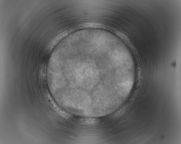 X0000115070841200912081146