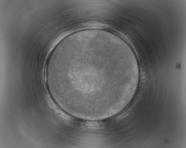 X0000115070843200912081146