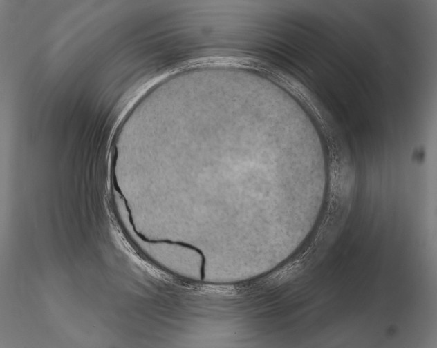X0000115070844200912081146