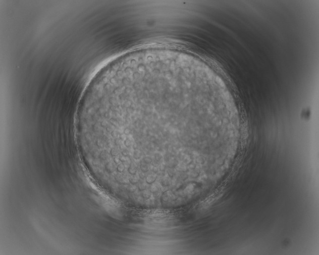 X0000115070846200912081146