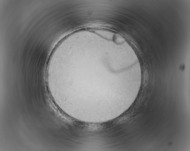 X0000115070848200912081146