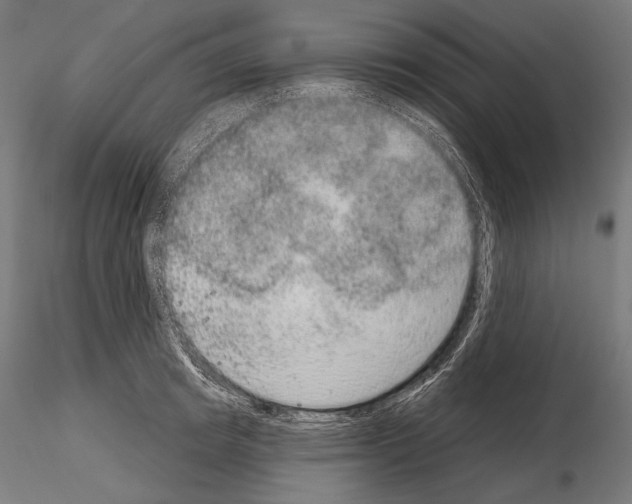 X0000115070849200912081146