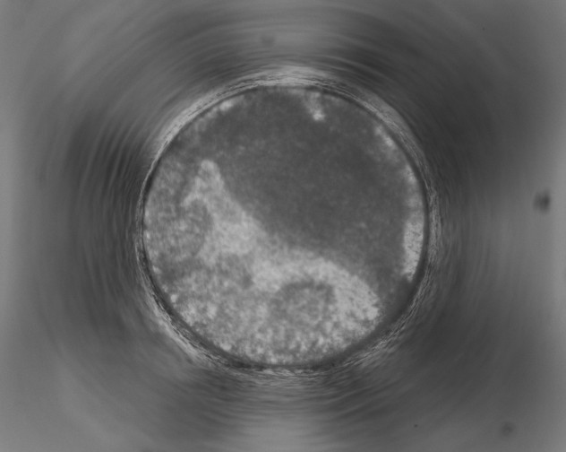 X0000115070850200912081146