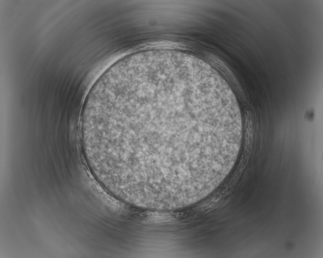X0000115070852200912081146