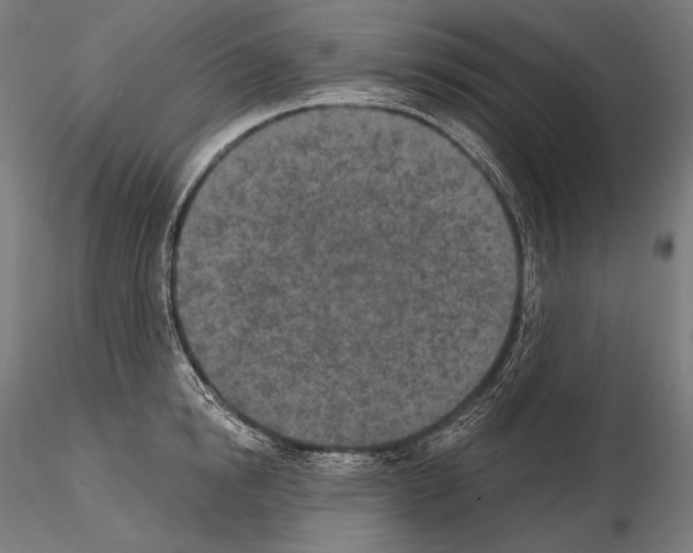 X0000115070854200912081146
