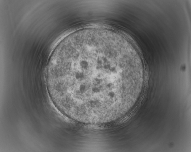 X0000115070855200912081146