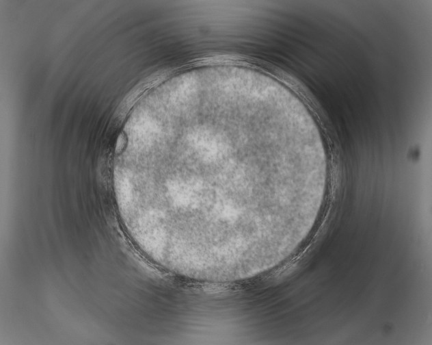 X0000115070857200912081146