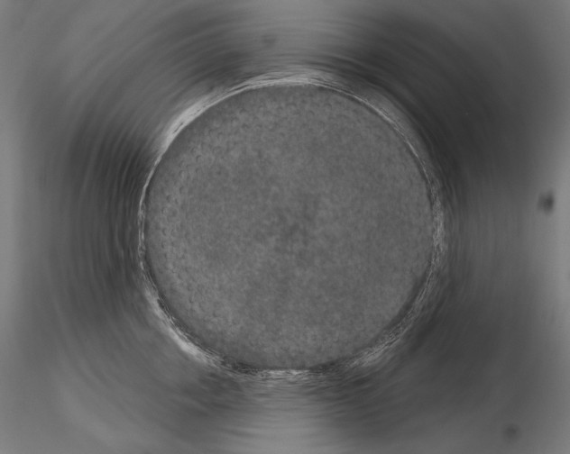X0000115070858200912081146