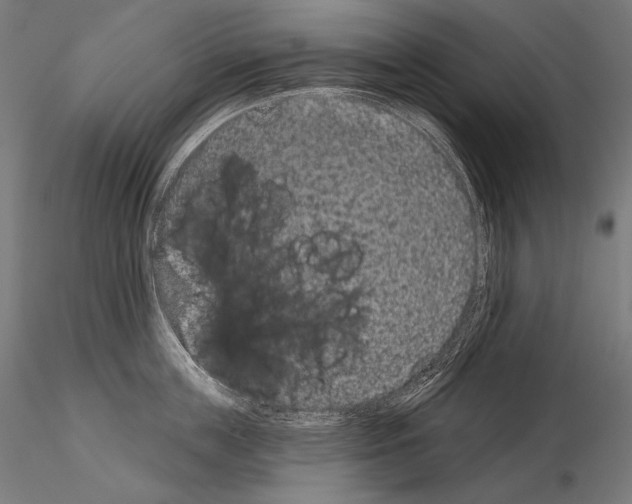X0000115070859200912081146