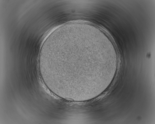 X0000115070860200912081146