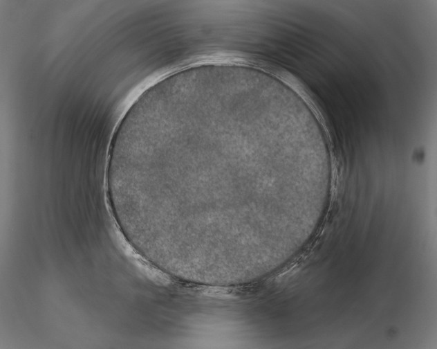 X0000115070861200912081146