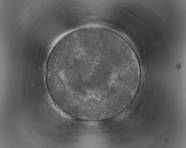 X0000115070862200912081146