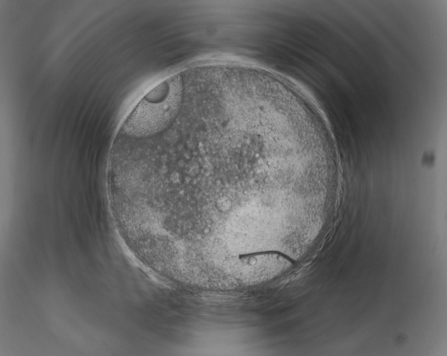 X0000115070863200912081146