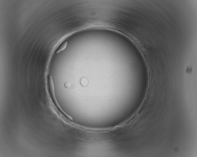 X0000115070864200912081146