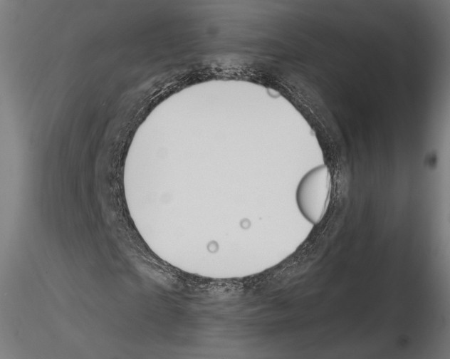 X0000115070865200912081145