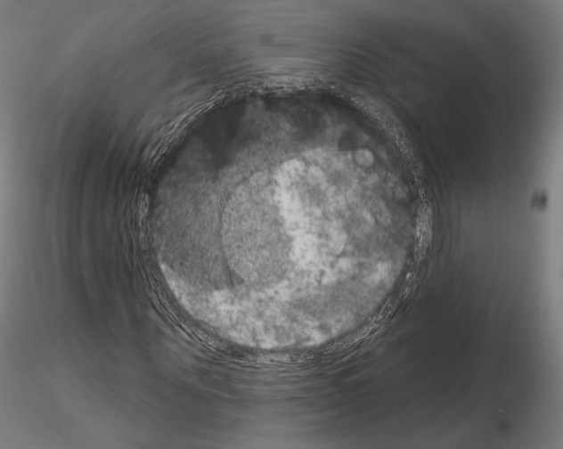 X0000115070867200912081145