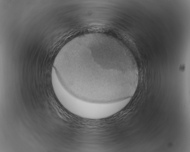 X0000115070868200912081145