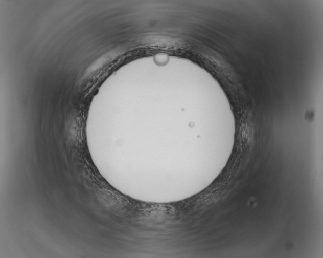 X0000115070869200912081145