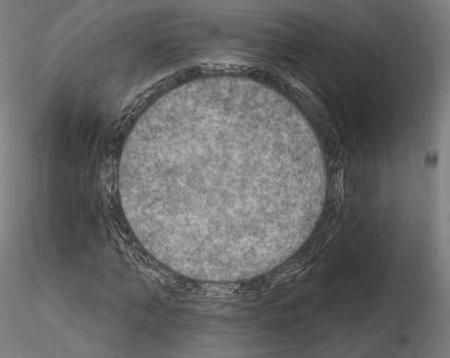 X0000115070870200912081145
