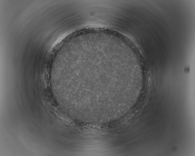 X0000115070871200912081145