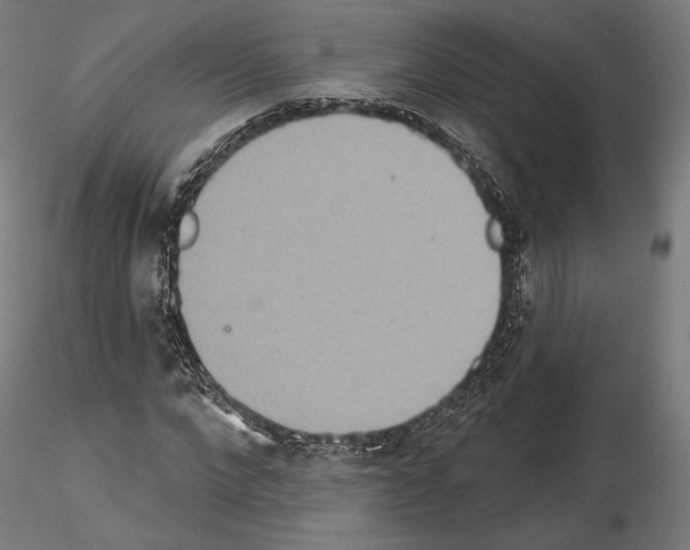 X0000115070872200912081145