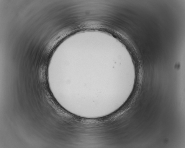 X0000115070873200912081145