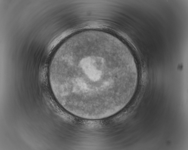 X0000115070874200912081145