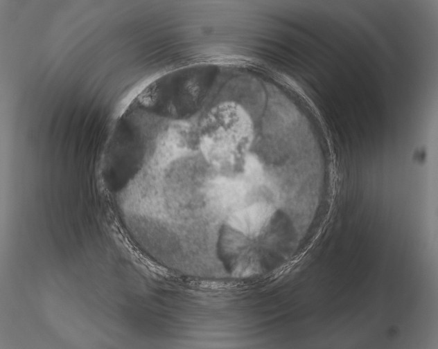 X0000115070875200912081145