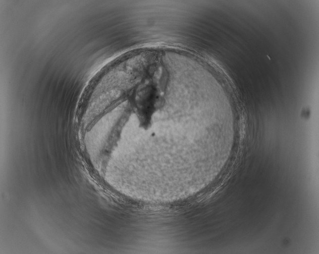 X0000115070876200912081145