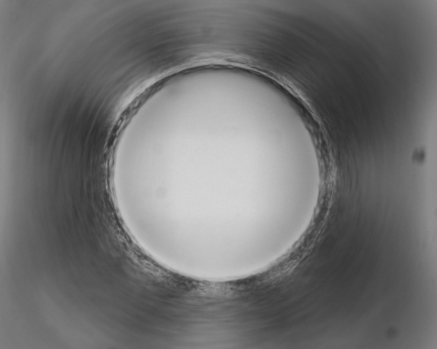 X0000115070877200912081145