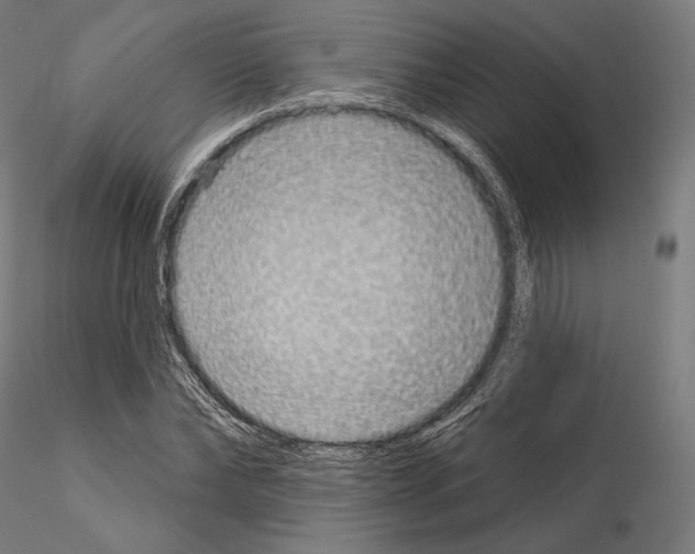 X0000115070878200912081145