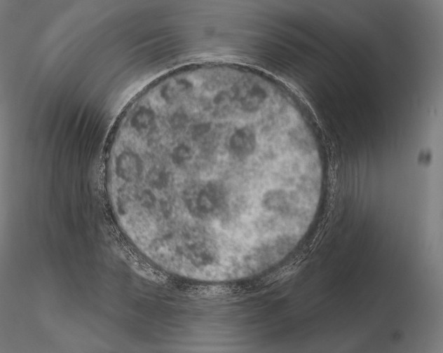 X0000115070879200912081145