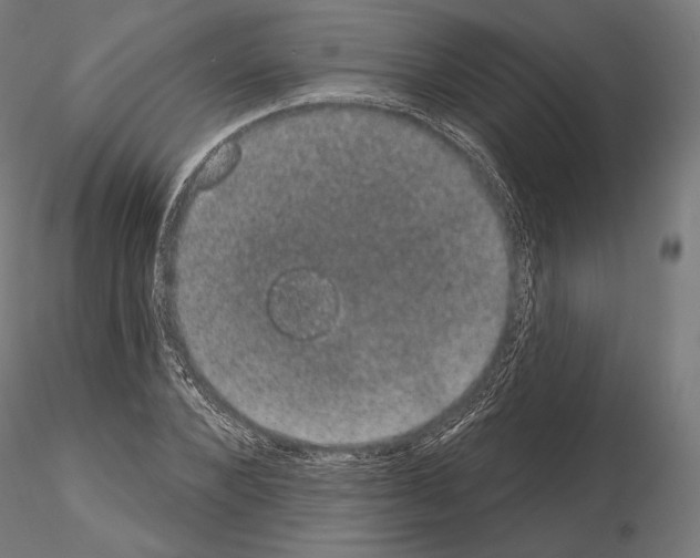 X0000115070880200912081145