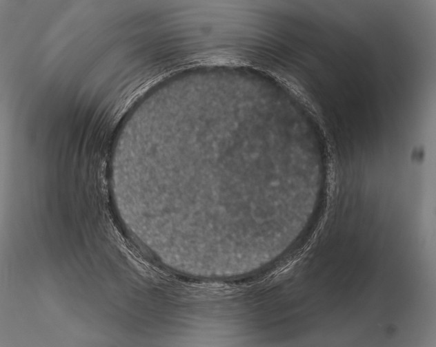 X0000115070881200912081145