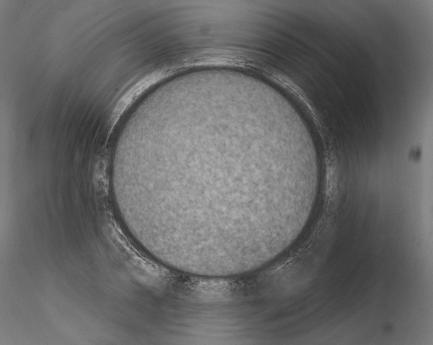 X0000115070882200912081145