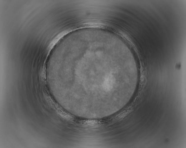 X0000115070883200912081145