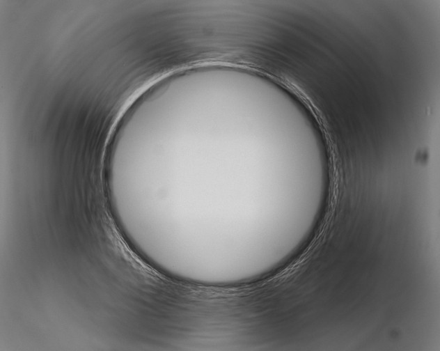 X0000115070884200912081145