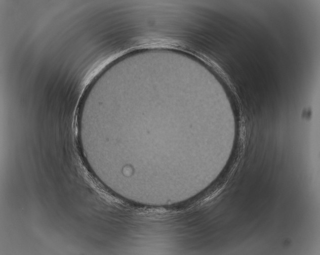 X0000115070885200912081145