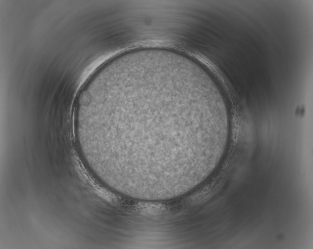 X0000115070886200912081145